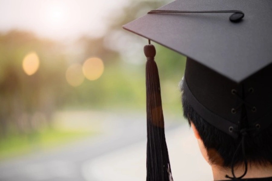 degrees vs skills